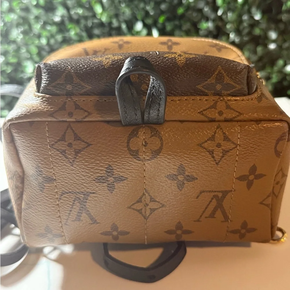 Louis Vuitton LV reverse Monogram Palm Springs Mini - Picture 11 of 16